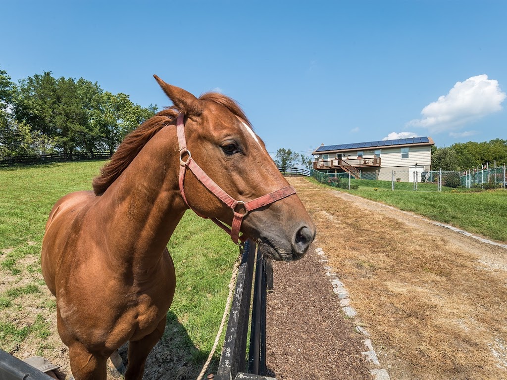 Weichert: Team Tremain | 92 Woodport Rd #2320, Sparta Township, NJ 07871, USA | Phone: (845) 742-6647