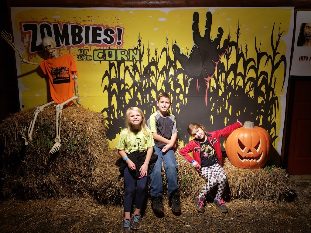 Zombies Of The Corn | 282 Rochester Rd, Freedom, PA 15042, USA | Phone: (724) 775-6232