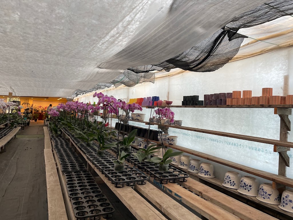 Bay Area Orchids | 12511 San Mateo Rd, Half Moon Bay, CA 94019, USA | Phone: (650) 922-4975