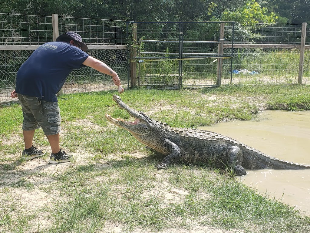 Kliebert & Son’s Gator Tours | 40511 W E Interstate 55 Service Rd, Ponchatoula, LA 70454, USA | Phone: (985) 345-3617