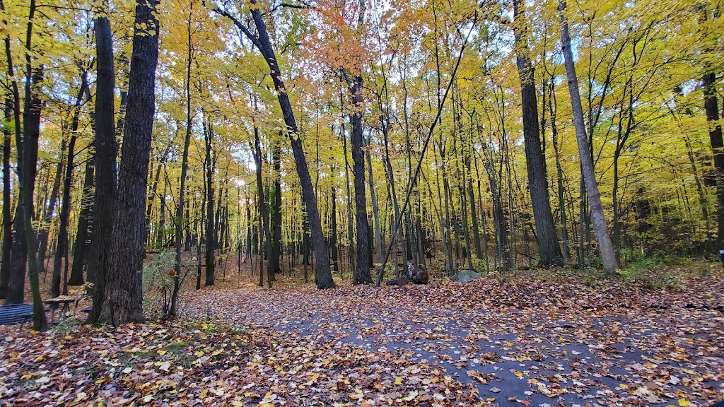 Holly McGinnis Lake Campground | 5300 McGinnis Rd, Holly, MI 48442, USA | Phone: (248) 634-8811