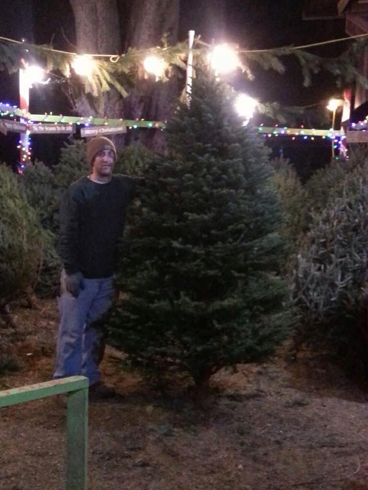 Winter Works Christmas Trees | Farnsworth Ave, Bordentown, NJ 08505, USA | Phone: (609) 234-0925