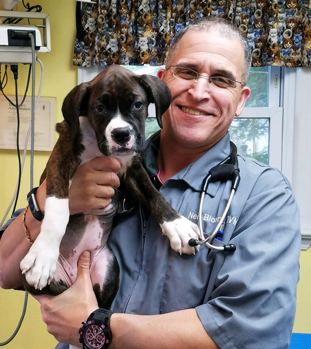 Central Monmouth Animal Hospital : Neil Bloom DVM | 154 South St, Freehold, NJ 07728, USA | Phone: (732) 462-1876