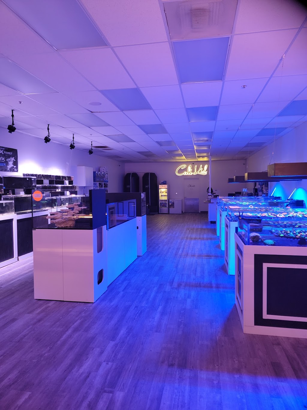 Cali Kid Corals | 5416 Ygnacio Valley Rd Ste 50, Concord, CA 94521, USA | Phone: (925) 466-4400