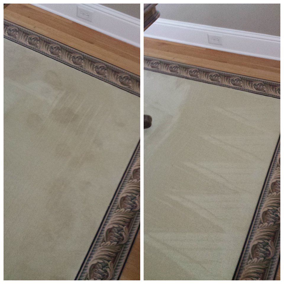 Hughes Dry Professional Carpet Care | 1148 JVL Ct #120, Marietta, GA 30066, USA | Phone: (678) 494-4884