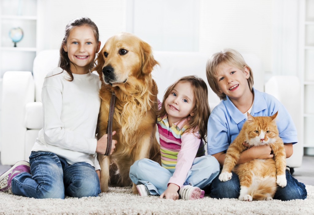 Aqualux Carpet Cleaning | 3109 Knox St, Dallas, TX 75205, United States | Phone: (817) 883-6336