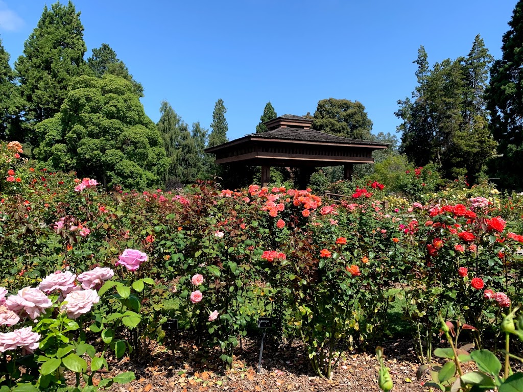 Point Defiance Rose Garden | 5400 N Pearl St, Tacoma, WA 98407, USA | Phone: (253) 305-1090