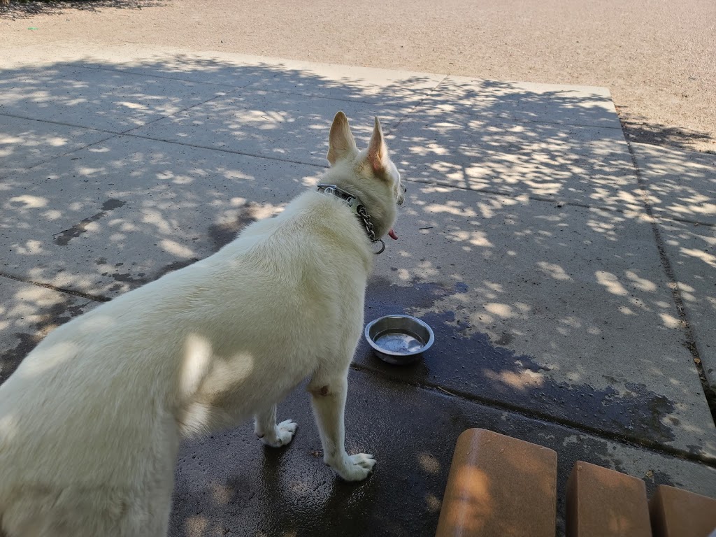 Walgreens | 1845 S 3rd St, Memphis, TN 38109, USA | Phone: (901) 947-4203 Walgreens | 1845 S 3rd St, Memphis, TN 38109, USA | Phone: (901) 947-4203