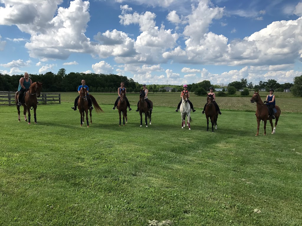 Cape Cod Equestrian Center | 3187 E Centerville Rd, Spring Valley, OH 45370, USA | Phone: (937) 848-8566