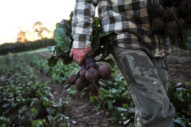 Seeley Farm | 2150 Warren Rd, Ann Arbor, MI 48105, USA | Phone: (734) 604-2820