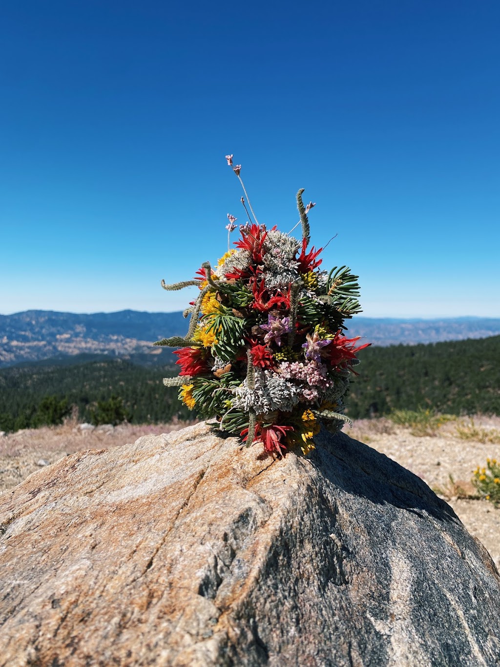 East Tumamait Trailhead - 21W03 | Mt Pinos Rd, Frazier Park, CA 93225, USA | Phone: (661) 245-3731 ext. 0