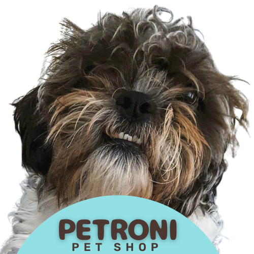 Petroni.ca | 465 Elinor St, Windsor, ON N8P 1C3, Canada | Phone: (519) 817-9677