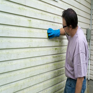 River City Mold Removal Solutions | 801 W Main St, Peoria, IL 61606 | Phone: (309) 487-2054