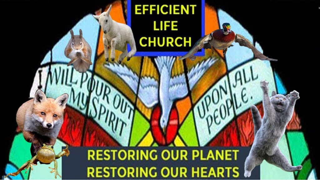 Efficient Life Church | 252 Three Islands Boulevard Ste 208A, Hallandale Beach, FL 33009, USA | Phone: (954) 458-9259