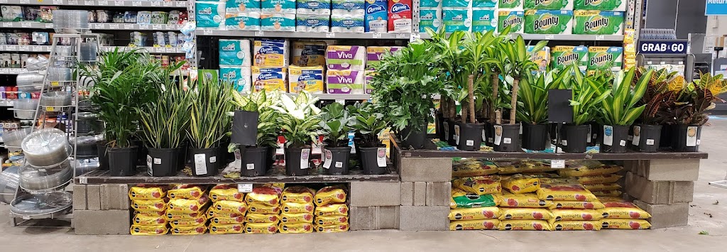 Lowes Garden Center | 8224 Golden Link Blvd, Northfield, OH 44067, USA | Phone: (330) 908-2750