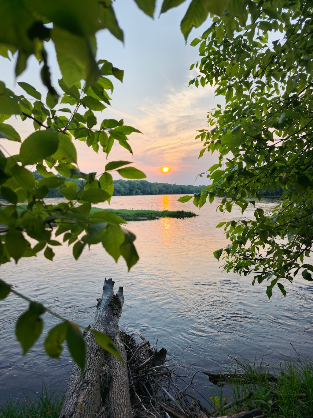 Mississippi River Islands Scientific and Natural Area (SNA) | Washington St., Monticello, MN 55362, USA | Phone: (651) 259-5800