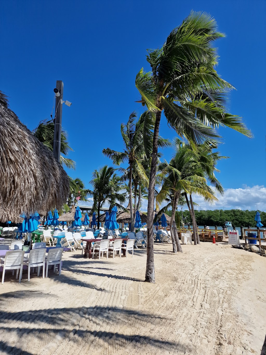 Tiki Bar | 107900 Overseas Hwy, Key Largo, FL 33037, USA | Phone: (305) 451-1133