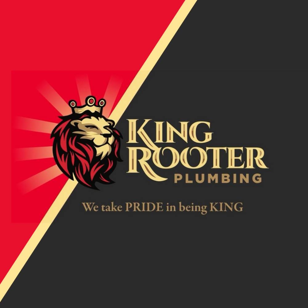 King Rooter & Plumbing | 100 Fillmore St #500, Denver, CO 80206, United States | Phone: (303) 502-5651