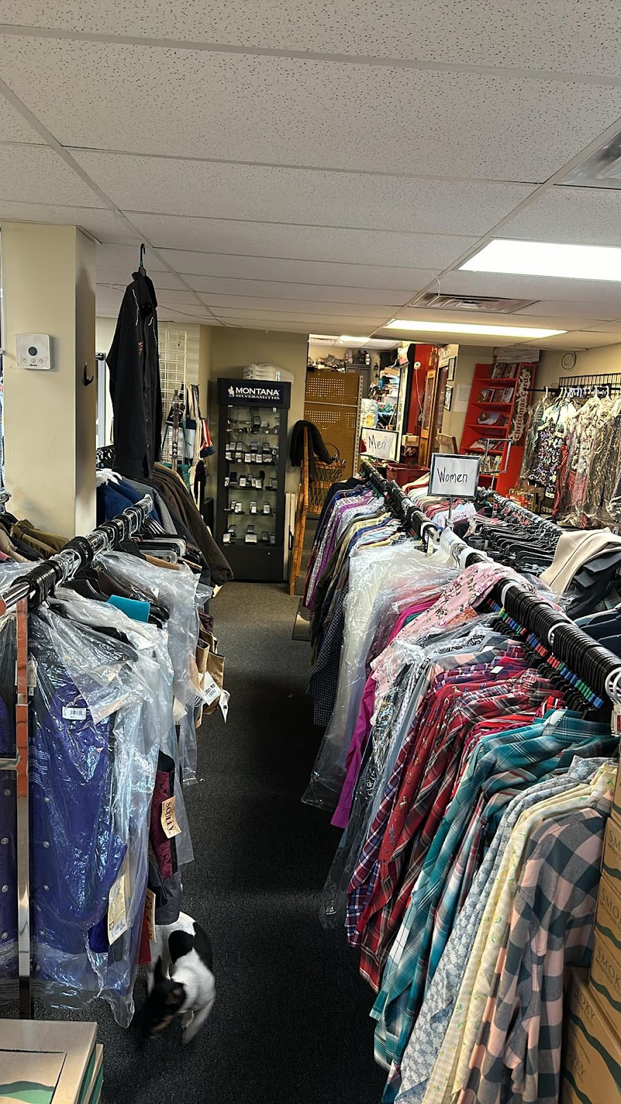 Custom Conchos And Tack Leather By Design | 2074 Ashland Rd, Mansfield, OH 44905, USA | Phone: (567) 560-4457