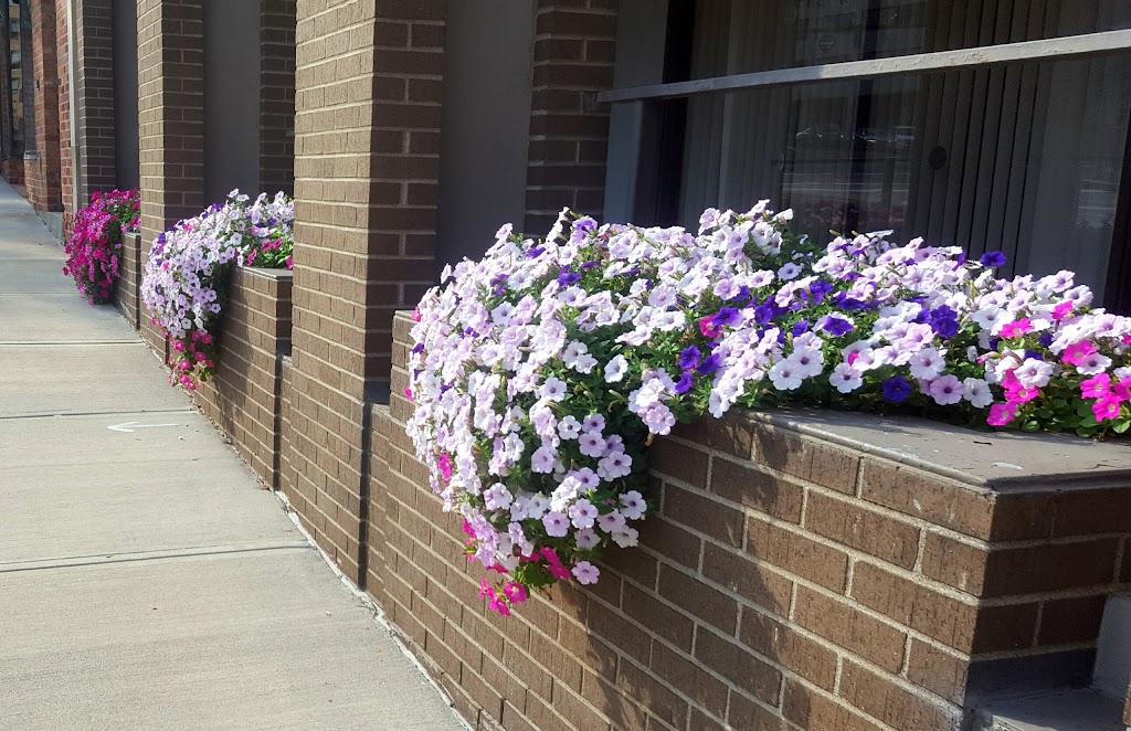 Becker's Farm 420 Columbia Turnpike, Rensselaer, NY 12144, USA