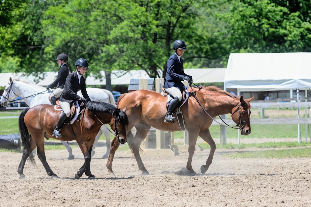 Stockade Polo & Saddle Club | 505 Sacandaga Rd, Schenectady, NY 12302 | Phone: (518) 384-0333