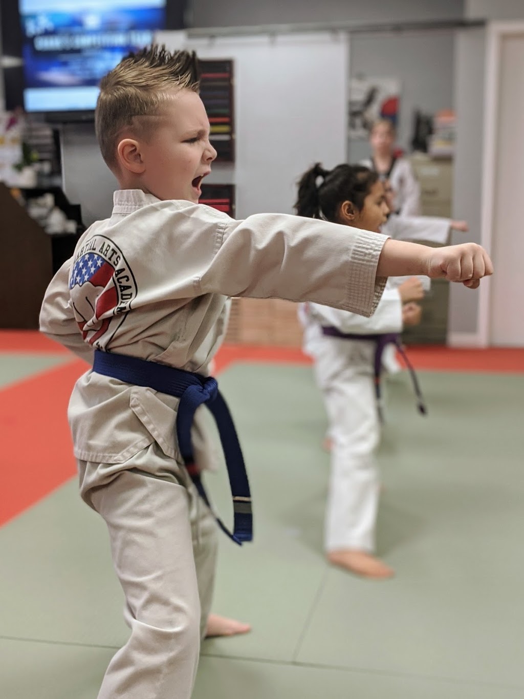 Changs Taekwondo | 225 Northfield Rd, Northfield, IL 60093, USA | Phone: (847) 707-2950