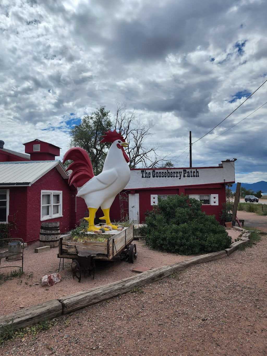 The Gooseberry Patch | 15560 CO-115, Penrose, CO 81240, USA | Phone: (719) 372-3910