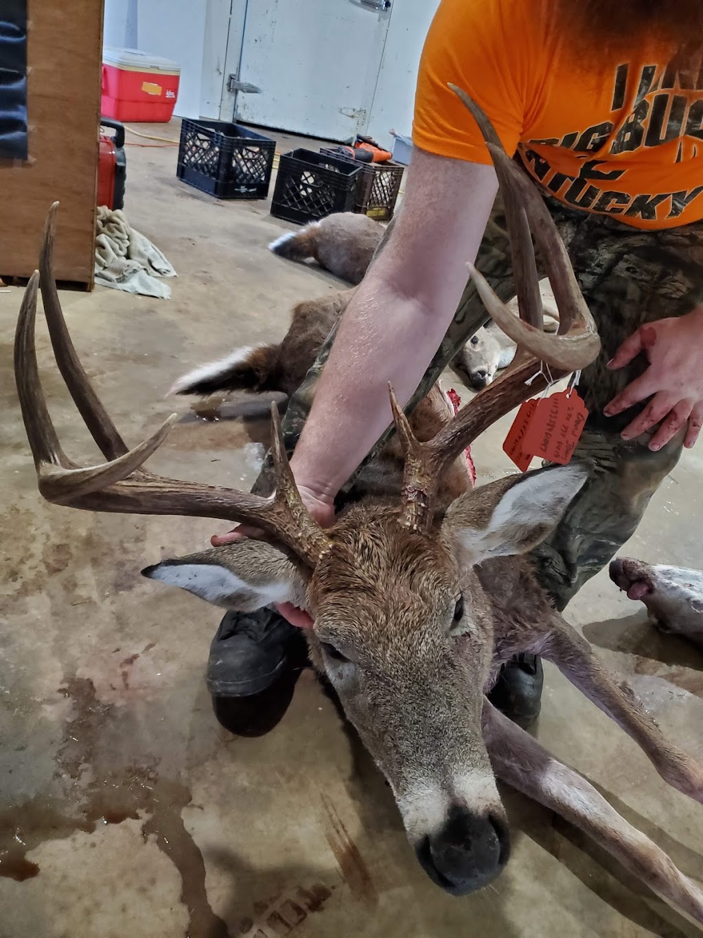 McCains Wild Game Processing | 220 Burns Rd, Vine Grove, KY 40175 | Phone: (502) 641-1435