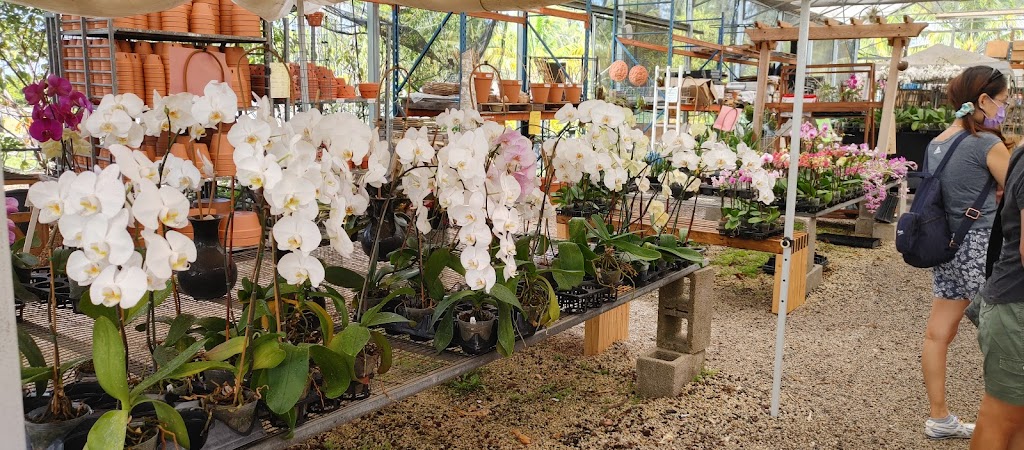 OFE Orchids & Supplies | 17899 SW 280th St, Homestead, FL 33031, USA | Phone: (305) 253-7080