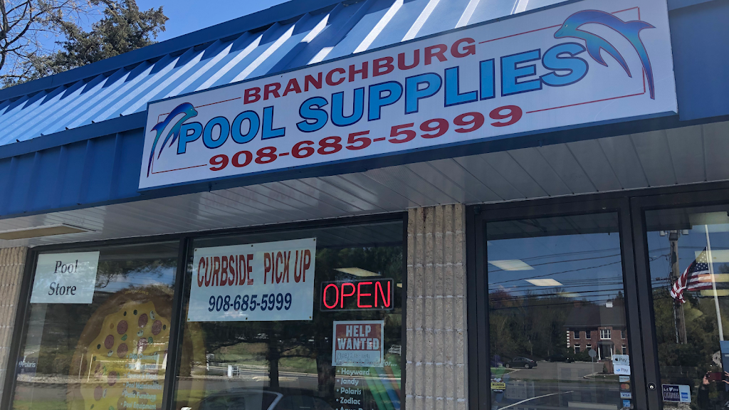 Branchburg Pool Supplies | 1035 US-202 North, Branchburg, NJ 08876, USA | Phone: (908) 685-5999