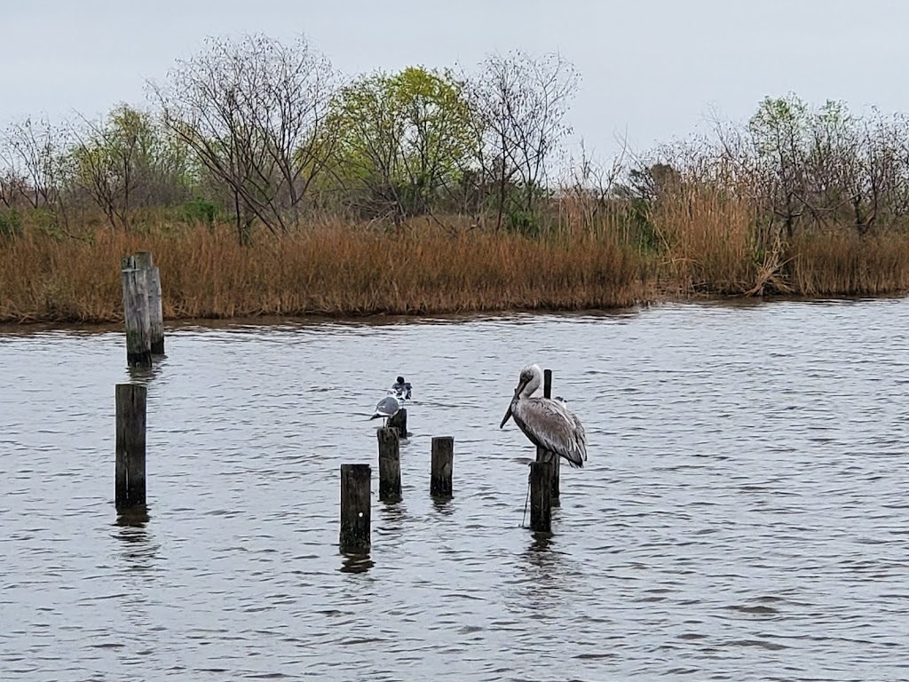 Big Branch Marsh National Wildlife Refuge | 61389 LA-434, Lacombe, LA 70445, USA | Phone: (985) 882-2000