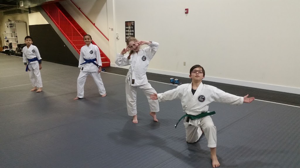 White Tiger Dojo | 99 Industrial Rd, Berkeley Heights, NJ 07922, USA | Phone: (908) 665-8983