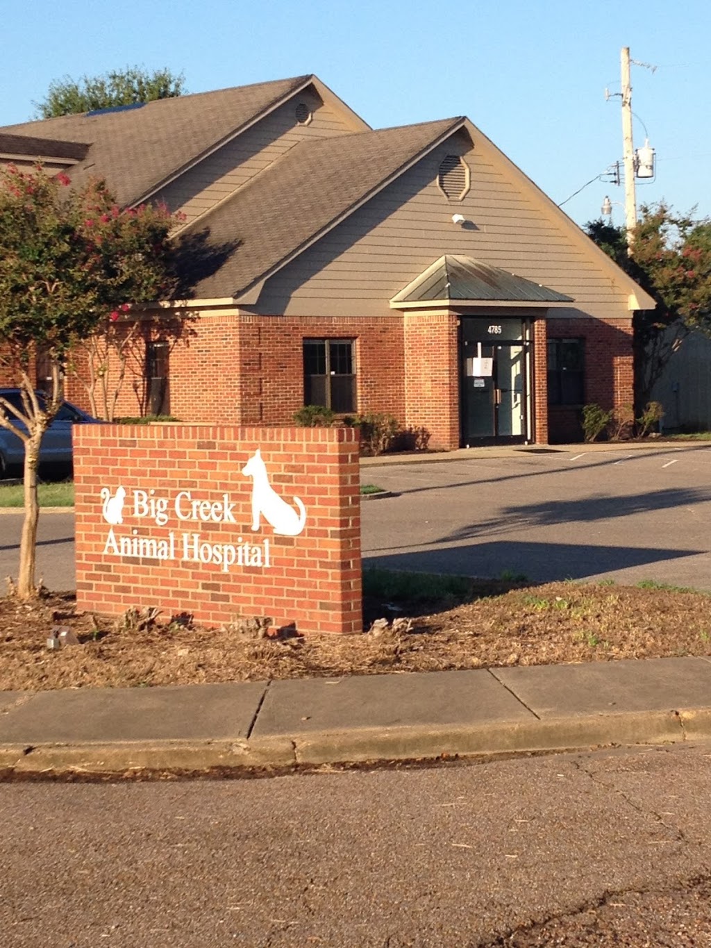 Big Creek Animal Hospital | 4785 Cuba Millington Rd, Millington, TN 38053, USA | Phone: (901) 872-2281