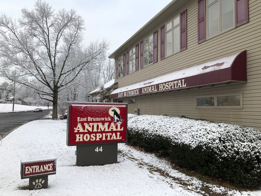 East Brunswick Animal Hospital | 44 Arthur St, East Brunswick, NJ 08816, USA | Phone: (732) 254-1212