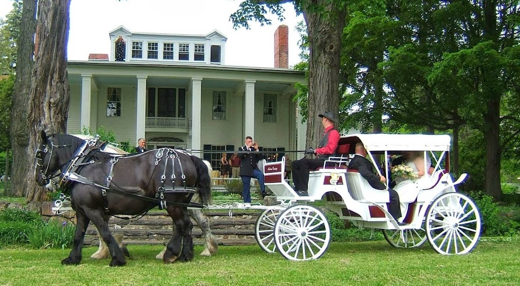 Andrusz Carriage Service | 12067 Nice Rd, Akron, NY 14001 | Phone: (716) 542-5767