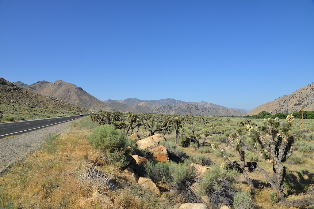 Canebrake Ecological Reserve | 27391 CA-178, Onyx, CA 93255, USA | Phone: (559) 243-4014