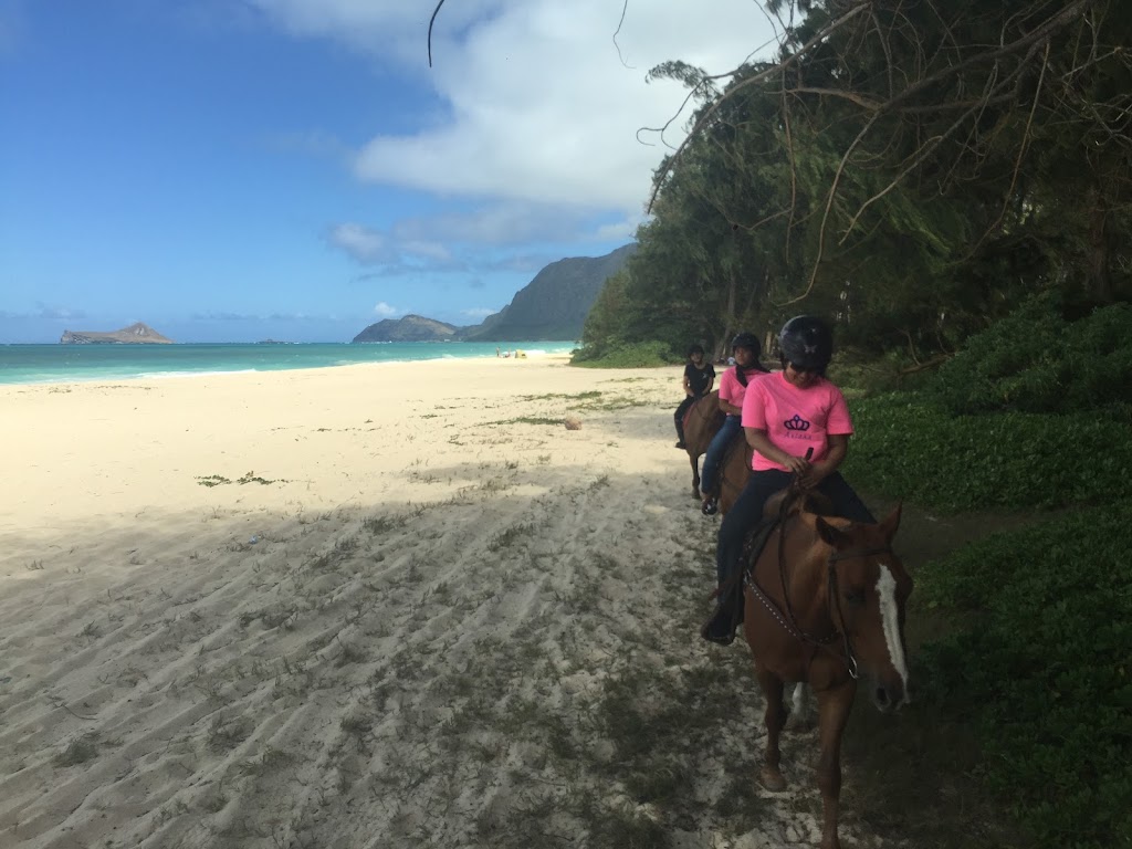 Waimanalo Beach Rides | 41-1062 Kalanianaʻole Hwy, Waimanalo, HI 96795, USA | Phone: (808) 421-9874