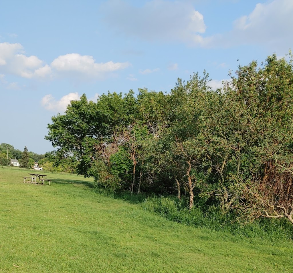 Lauderdale Dog Park | 1885 Fulham St, Lauderdale, MN 55113, USA | Phone: (651) 792-7650