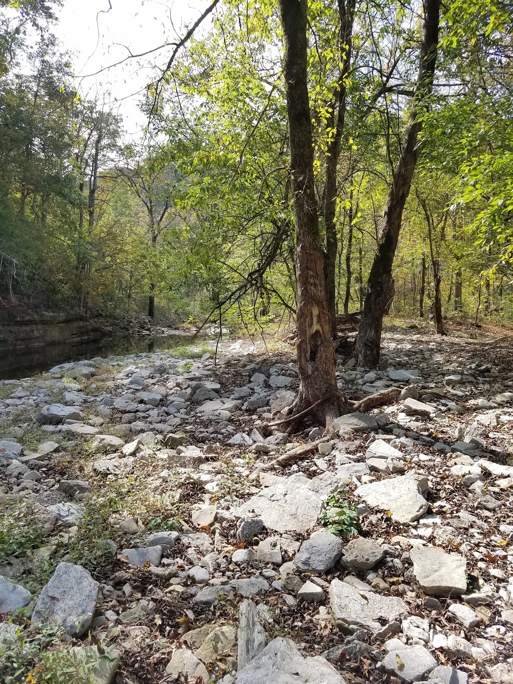 Lower Howard’s Creek Nature and Heritage Preserve | 1225 Athens Boonesboro Rd, Winchester, KY 40391, USA | Phone: (859) 806-2466