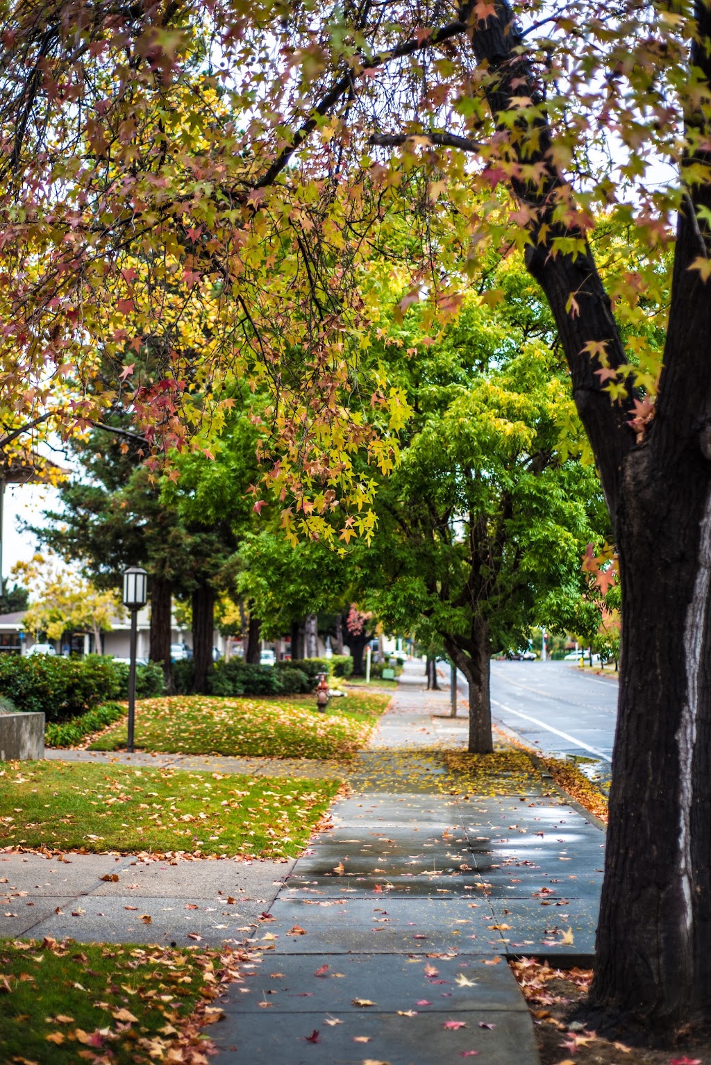 Cupertino City Hall | 10300 Torre Ave, Cupertino, CA 95014 | Phone: (408) 777-3200