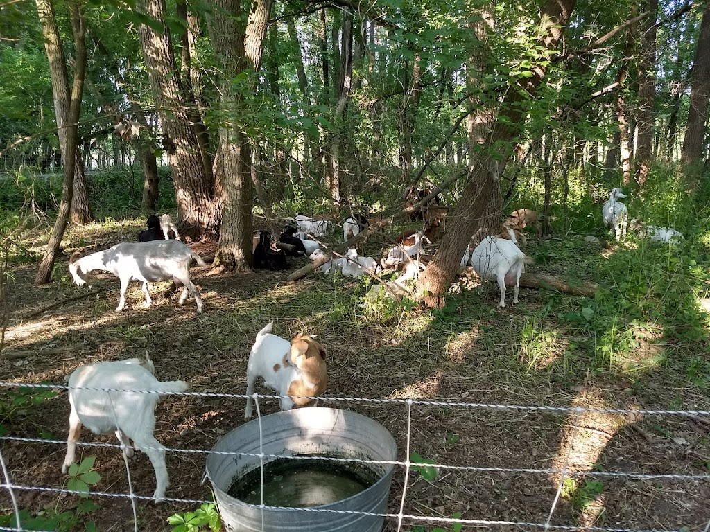 Acewood Park | 1402 Acewood Blvd, Madison, WI 53716, USA | Phone: (608) 266-4711