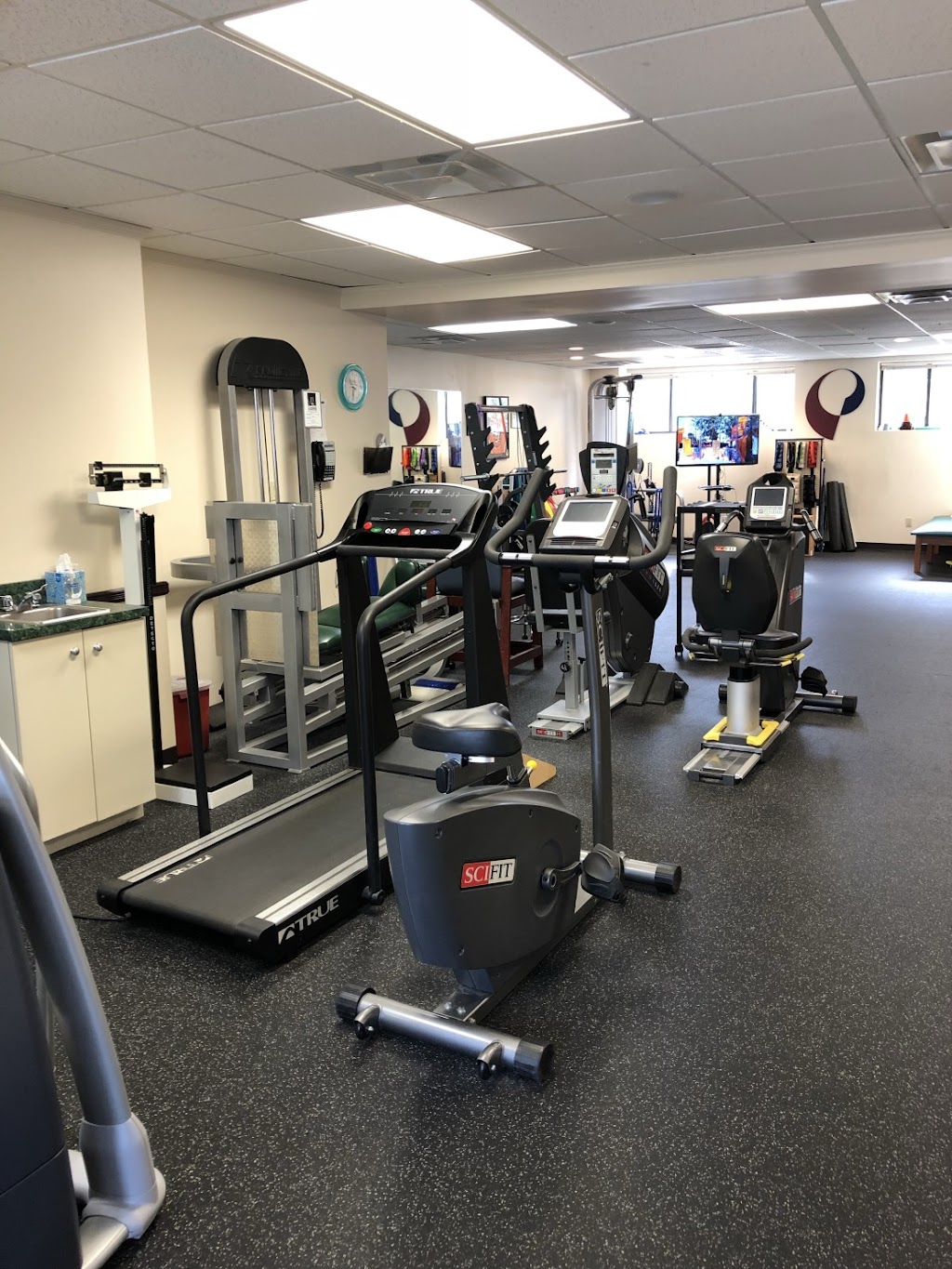 Professional Physical Therapy | 397 Willis Ave, Williston Park, NY 11596, USA | Phone: (516) 862-2671