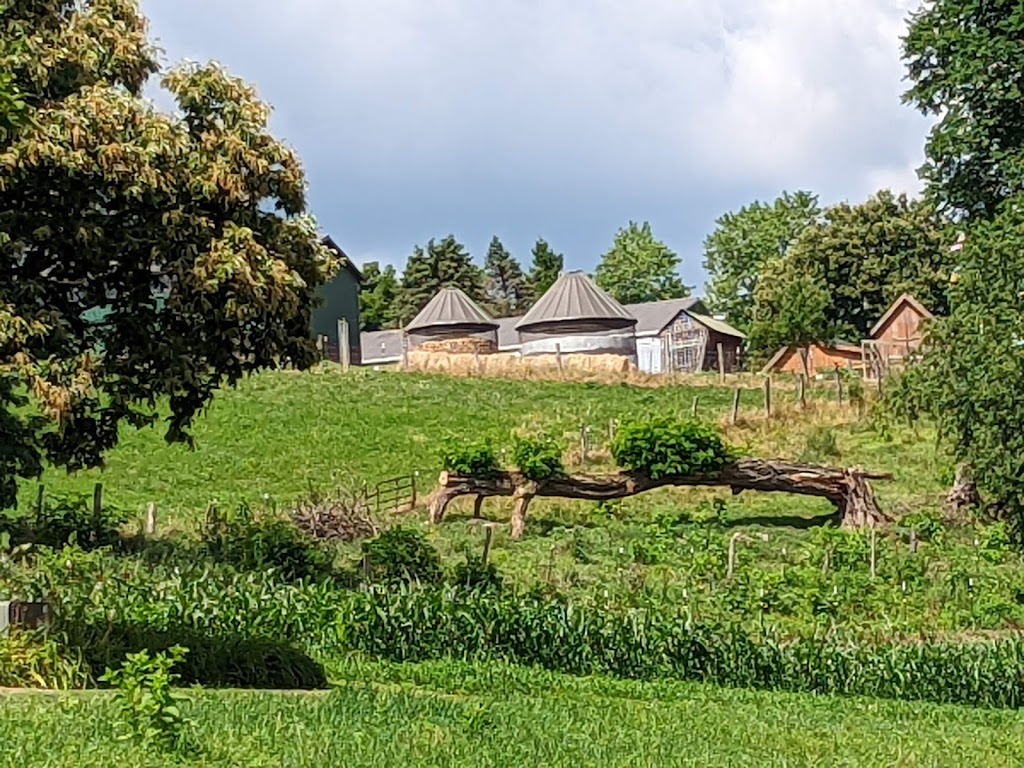 Daylily Valley Farm | 300 Tyro Rd, Baden, PA 15005, USA | Phone: (724) 876-0120