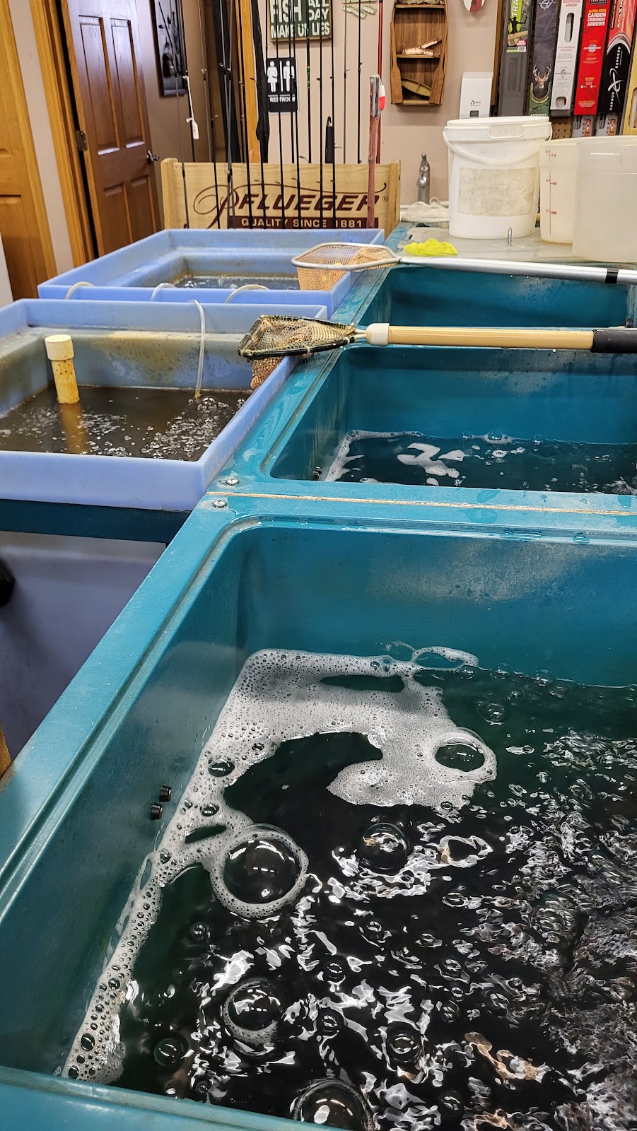 Johns Bait & Tackle | 19826 Roberds Lake Blvd, Faribault, MN 55021, USA | Phone: (507) 332-6787