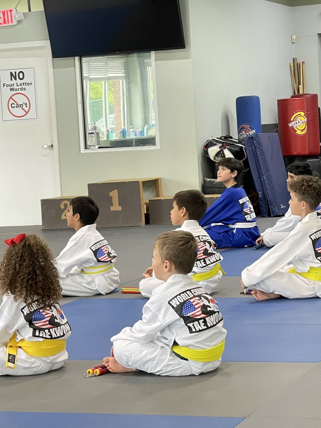 World Champion Taekwondo Martial Arts Cumming | 5075 Post Rd, Cumming, GA 30040, USA | Phone: (770) 886-9933