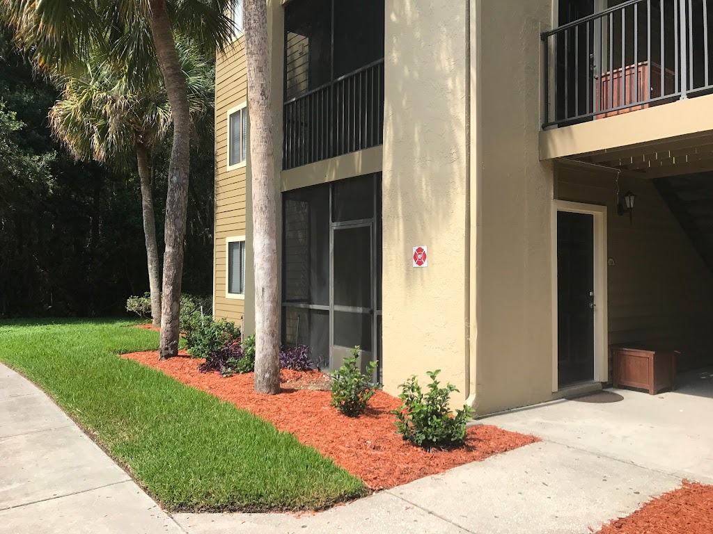 Palencia Apartments | 3450 Palencia Dr, Tampa, FL 33618, USA | Phone: (813) 327-4826