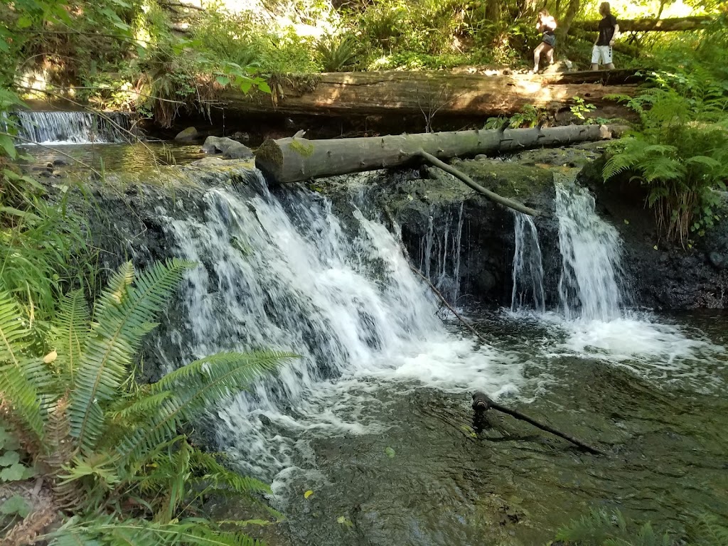 Victor Falls City Park | 18212 Rhodes Lake Rd E, Bonney Lake, WA 98391, USA | Phone: (253) 862-8602