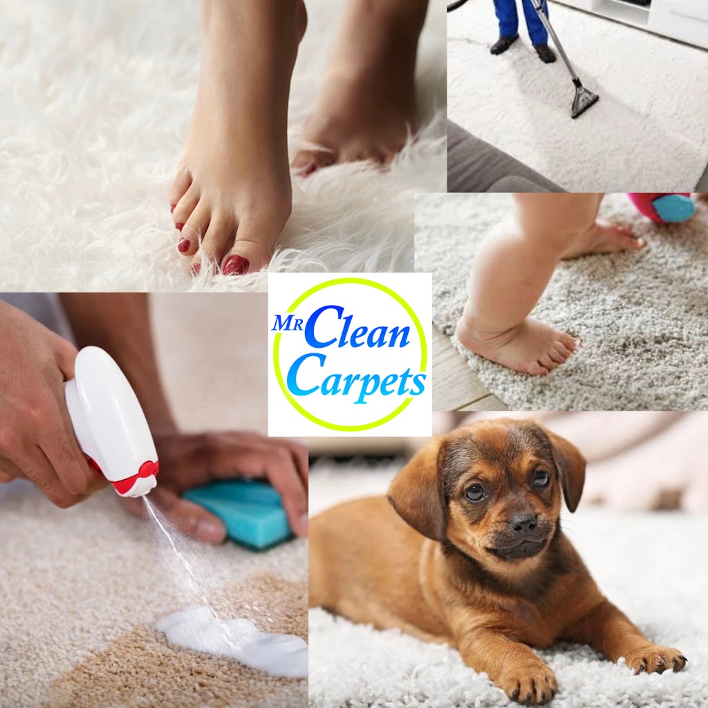 Mr CleanCarpets | 370 Fryer St, Amherstburg, ON N9V 2L9, Canada | Phone: (519) 792-3598