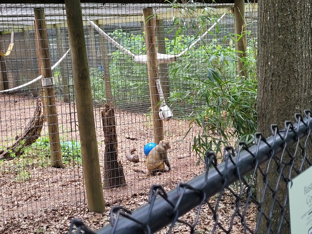 Noahs Ark Animal Sanctuary | 712 L G Griffin Rd, Locust Grove, GA 30248, USA | Phone: (770) 957-0888