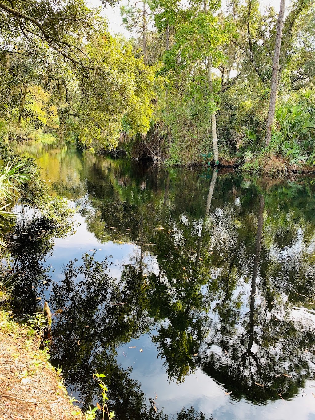 Parks & Conservation Resource | 2200 E Lake Rd S, Palm Harbor, FL 34685 | Phone: (727) 582-2100
